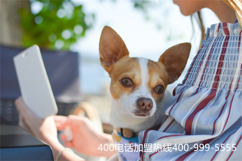 畢節(jié)400電話申請(qǐng)（400電話該如何申請(qǐng)）